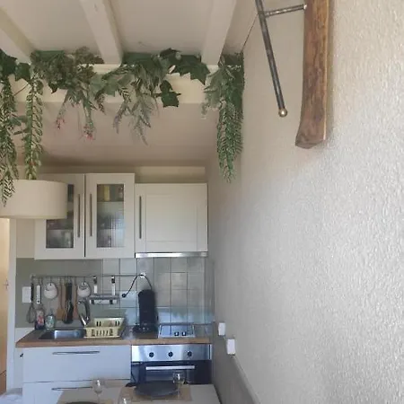 Apartamento Le Hameau Des 4 Saisons 5 Personnes Bolquere Pyrenees 2000